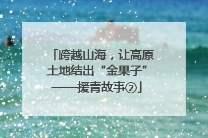 跨越山海，让高原土地结出“金果子”——援青故事②